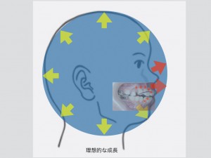 バイオブロック.001